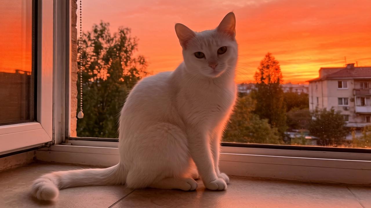 200MW！中国能建广西院中标中煤融水光伏总承包项目第一张图