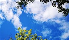 蔚来资本激光雷达项目签约无锡，注册资金2