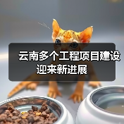 云南多个工程项目建设迎来新进展（图1）