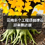云南多个工程项目建设迎来新进展（图2）
