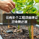 云南多个工程项目建设迎来新进展（图3）