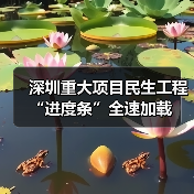 深圳重大项目民生工程“进度条”全速加载（图4）