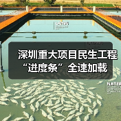 深圳重大项目民生工程“进度条”全速加载（图3）
