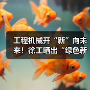 工程机械开“新”向未来！徐工晒出“绿色新答卷”（图3）