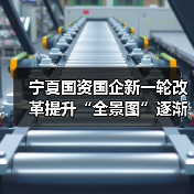 宁夏国资国企新一轮改革提升“全景图”逐渐浮现（图3）
