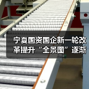 宁夏国资国企新一轮改革提升“全景图”逐渐浮现（图1）