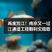 再度跨江！南京又一过江通道工程顺利实现盾构隧道双线贯通（图1）