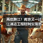 再度跨江！南京又一过江通道工程顺利实现盾构隧道双线贯通（图4）