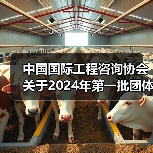 中国国际工程咨询协会关于2024年第一批团体标准的立项公告（图3）
