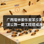广西隆林委乐至革步高速公路一期工程建成通车（图2）