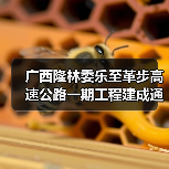 广西隆林委乐至革步高速公路一期工程建成通车（图1）