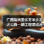 广西隆林委乐至革步高速公路一期工程建成通车（图4）