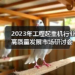 2023年工程起重机行业高质量发展市场研讨会在上海成功举行（图4）
