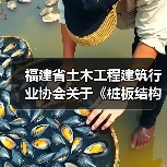 福建省土木工程建筑行业协会关于《桩板结构技术规程》等13项团体标准联合立项公告（图1）