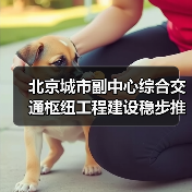 北京城市副中心综合交通枢纽工程建设稳步推进（图4）