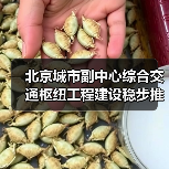北京城市副中心综合交通枢纽工程建设稳步推进（图2）