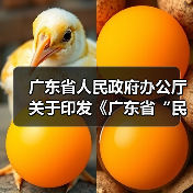 广东省人民政府办公厅关于印发《广东省“民生十大工程”五年行动计划（2023―2027年）》的通知（图3）