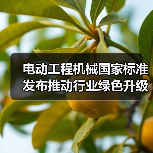 电动工程机械国家标准发布推动行业绿色升级（图3）