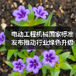 电动工程机械国家标准发布推动行业绿色升级（图4）