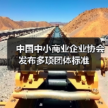 中国中小商业企业协会发布多项团体标准（图1）