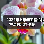 2024年上半年工程机械产品进出口快报（图4）