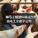 神马工程塑料将成为尼龙化工全资子公司（图3）