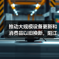 推动大规模设备更新和消费品以旧换新，阳江市发布实施方案（图4）