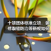 十项团体标准正式立项，如何推动行业规范化