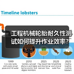 工程机械轮胎耐久性测试如何提升作业效率？关键技巧解析（图4）