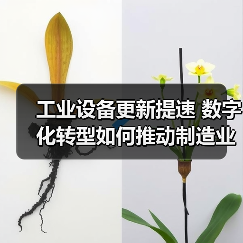 工业设备更新提速 数字化转型如何推动制造业升级(图2) 工业设备更新提速 数字化转型如何推动制造业升级(图2)