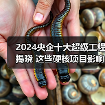 2024央企十大超级工程揭晓 这些硬核项目影响你我的生活(图3) 2024央企十大超级工程揭晓 这些硬核项目影响你我的生活(图3)