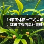 14项团体标准正式立项，建筑工程信息化管理规范如何落地？（图4）