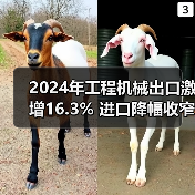 2024年工程机械出口激增16.3% 进口降幅收窄(图1) 2024年工程机械出口激增16.3% 进口降幅收窄(图1)