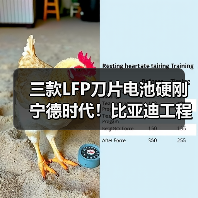 三款LFP刀片电池硬刚宁德时代！比亚迪工程机械新品突破（图2）