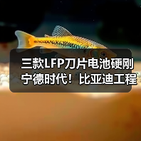 三款LFP刀片电池硬刚宁德时代！比亚迪工程机械新品突破（图4）