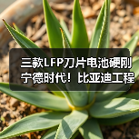 三款LFP刀片电池硬刚宁德时代！比亚迪工程机械新品突破（图3）