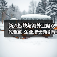 新兴板块与海外业务双轮驱动 企业增长新引擎(图1) 新兴板块与海外业务双轮驱动 企业增长新引擎(图1)
