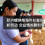 新兴板块与海外业务双轮驱动 企业增长新引擎(图2) 新兴板块与海外业务双轮驱动 企业增长新引擎(图2)