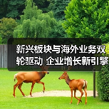 新兴板块与海外业务双轮驱动 企业增长新引擎(图3) 新兴板块与海外业务双轮驱动 企业增长新引擎(图3)