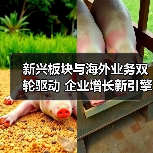 新兴板块与海外业务双轮驱动 企业增长新引擎(图4) 新兴板块与海外业务双轮驱动 企业增长新引擎(图4)