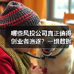 哪些风投公司真正值得创业者追逐?一组数据揭秘行业头部效应有多夸张(图1) 哪些风投公司真正值得创业者追逐?一组数据揭秘行业头部效应有多夸张(图1)