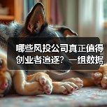 哪些风投公司真正值得创业者追逐?一组数据揭秘行业头部效应有多夸张(图3) 哪些风投公司真正值得创业者追逐?一组数据揭秘行业头部效应有多夸张(图3)