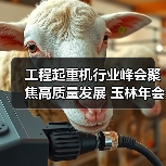 工程起重机行业峰会聚焦高质量发展 玉林年会推动产业升级(图1) 工程起重机行业峰会聚焦高质量发展 玉林年会推动产业升级(图1)