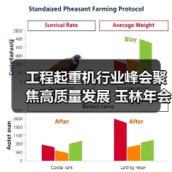 工程起重机行业峰会聚焦高质量发展 玉林年会推动产业升级(图4) 工程起重机行业峰会聚焦高质量发展 玉林年会推动产业升级(图4)
