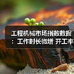 工程机械市场指数数据:工作时长微增 开工率持续下滑(图1) 工程机械市场指数数据:工作时长微增 开工率持续下滑(图1)