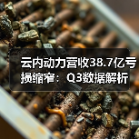 云内动力营收38.7亿亏损缩窄:Q3数据解析(图3) 云内动力营收38.7亿亏损缩窄:Q3数据解析(图3)