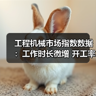 工程机械市场指数数据:工作时长微增 开工率持续下滑(图4) 工程机械市场指数数据:工作时长微增 开工率持续下滑(图4)