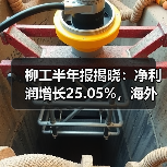 柳工半年报揭晓:净利润增长25.05%,海外业务成增长引擎(图4) 柳工半年报揭晓:净利润增长25.05%,海外业务成增长引擎(图4)