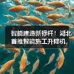 智能建造新标杆!湖北首推智能施工升降机,引领行业变革(图1) 智能建造新标杆!湖北首推智能施工升降机,引领行业变革(图1)