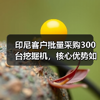 印尼客户批量采购300台挖掘机,核心优势如何打动市场?(图1) 印尼客户批量采购300台挖掘机,核心优势如何打动市场?(图1)